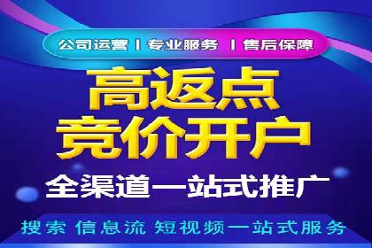 精准投放，高效转化——网站sem托管的胜利案例